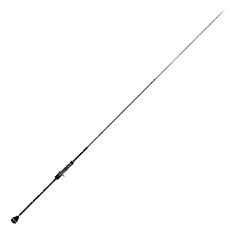 TRANSCENDENCE(トランスセンデンス) ロッド Eta quattro65