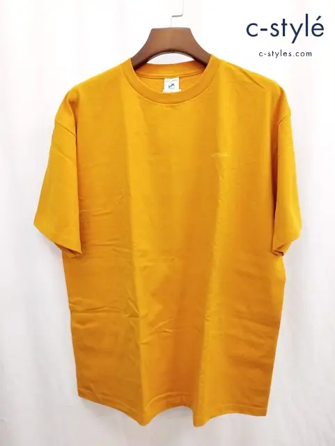 Patagonia パタゴニア Tシャツ L オレンジ 半袖 80s