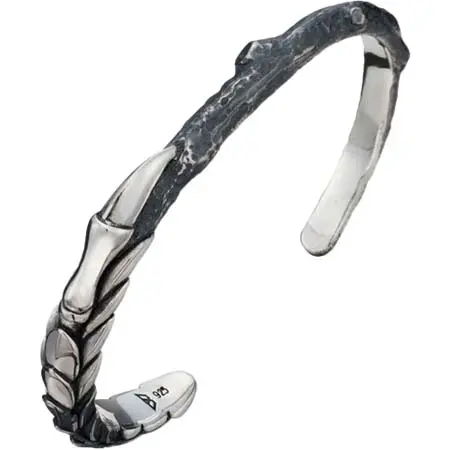 bizarre(ビザール) Archaeopteryxフェザークロウシルバーバングル SBP081