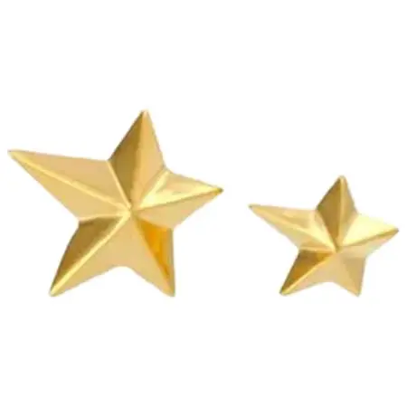 chigo(チーゴ) Star Stud Pierce