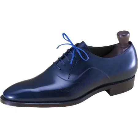 CLEMATIS(クレマチス) Hyssop