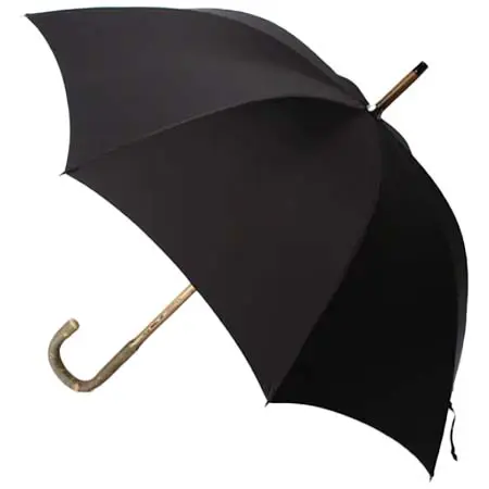 FOX UMBRELLAS(フォックス・アンブレラ) RS1 Ash | 長傘 | アーチ型ハンドル | アッシュ | 晴雨兼用傘