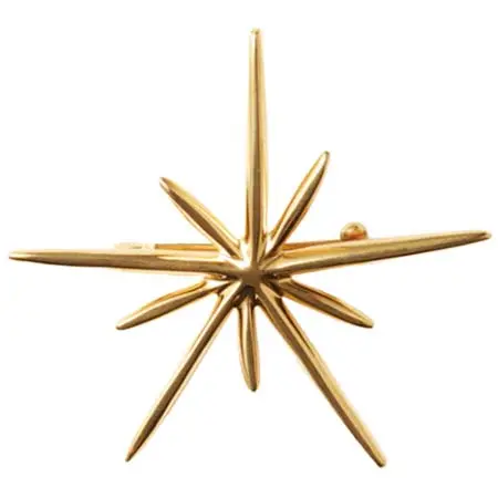 JOAQUIN BERAO(ホアキンベラオ) Brooch DENEB Vermeil 01