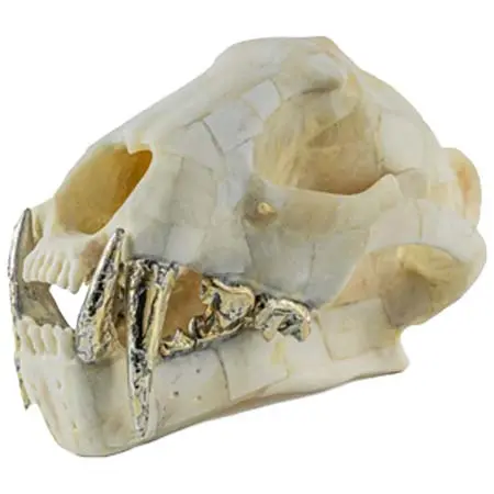 Parts of Four(パーツオブフォー) レオパード スカル オブジェ