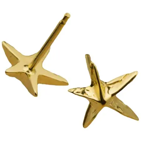 PLUIE(プリュイ) One Star Earrings