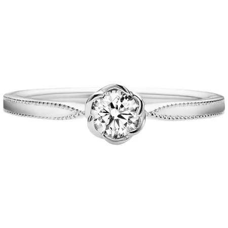 TRECENTI‎(トレセンテ) フローラ　ジプソフィラ