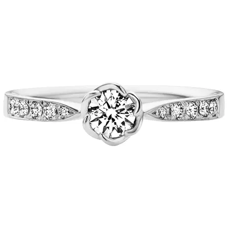 TRECENTI‎(トレセンテ) ジーリョ