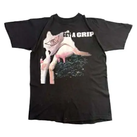 Aerosmith(エアロスミス) ヴィンテージ Tシャツ Get a Grip