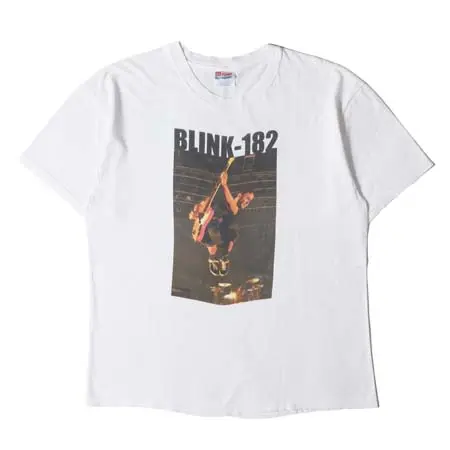 Blink-182(ブリンク 182) ヴィンテージ Tシャツ 00s Take Off Your Pants and Jacket Tour (Hanesボディ)