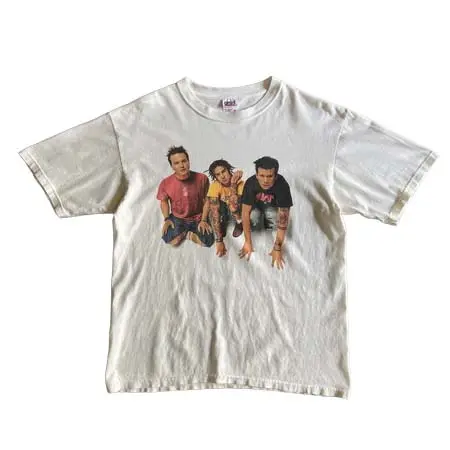 Blink-182(ブリンク 182) ヴィンテージ Tシャツ 00s フォトプリント