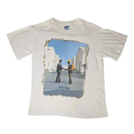 Pink Floyd(ピンクフロイド) ヴィンテージ Tシャツ “1994 WISH YOU WERE HERE” HANES
