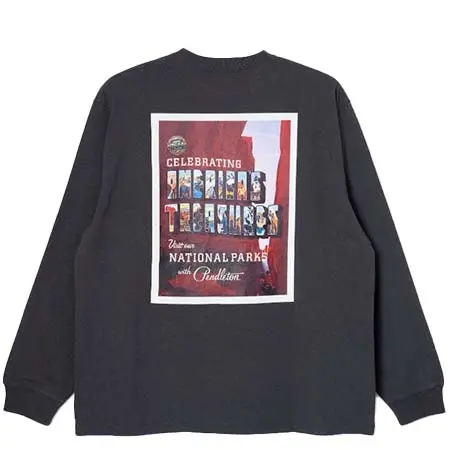 PENDLETON(ペンドルトン) ナショナルパーク LS ティ