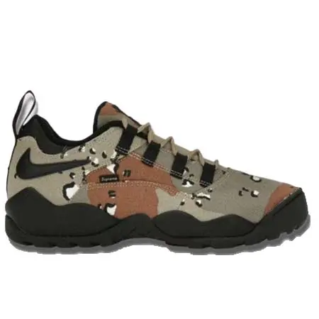 Supreme×NIKE(シュプリーム×ナイキ) シュプリーム ナイキSBダーウィンロウ