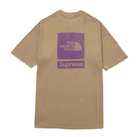 Supreme×THE NORTH FACE(シュプリーム×ノースフェイス) ノースフェイスショートスリーブトップTシャツ