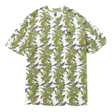 Supreme×THE NORTH FACE(シュプリーム×ノースフェイス) ノースフェイスリーフショートスリーブトップ Tシャツ