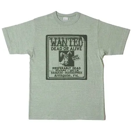 WAREHOUSE(ウェアハウス) Lot 4096 88/12杢クルーネックT WANTED