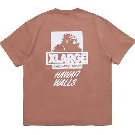 XLARGE(エクストララージ) XLARGE x HAWAII WALLS S/S TEE calif-ART