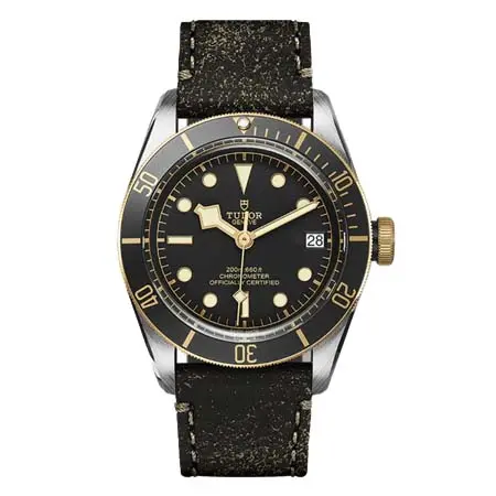 TUDOR BLACK BAY(チューダー) ブラックベイ m79733n-0007