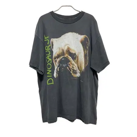 バンドTシャツ ブート品(BAND T-SHIRT BOOTLEG) dinosaur jr