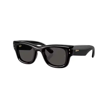 Ray-Ban(レイバン)  WAYFARER PUFFER [RB4940 601/87 47-23]