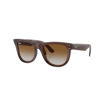 Ray-Ban(レイバン)  WAYFARER REVERSE [RBR0502S 6709CB 50-22]