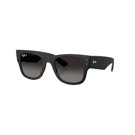 Ray-Ban(レイバン)  MEGA WAYFARER LITEFORCE [RB4840S 601ST3 52-21]