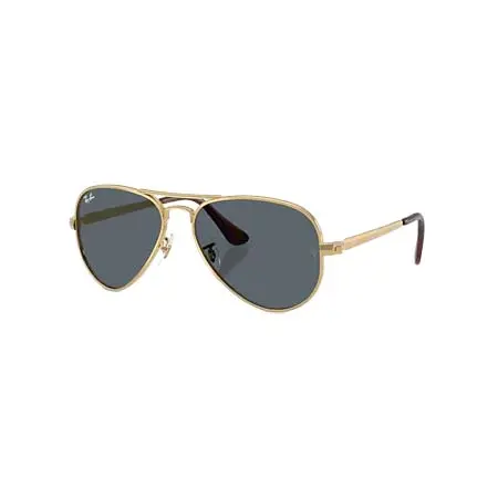 Ray-Ban(レイバン)  AVIATOR MAX [RB3925 001/R5 62-16]