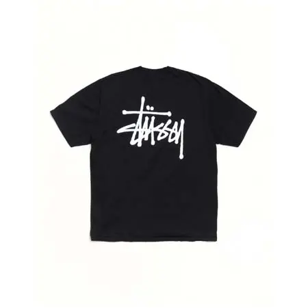 STUSSY (ステューシー) BASIC STUSSY TEE