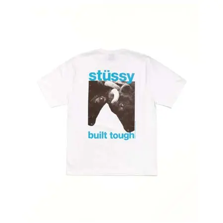 STUSSY (ステューシー) BUILT TOUGH TEE