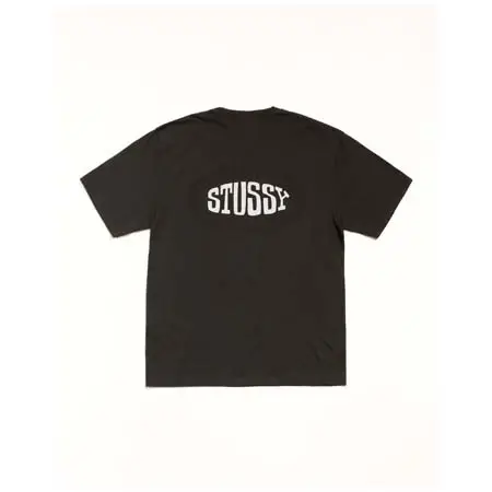 STUSSY (ステューシー) TILE OVAL TEE PIGMENT DYED