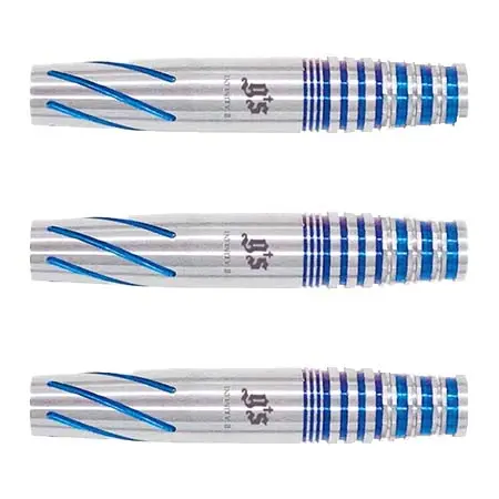 Gs darts(ジーズダーツ) ダーツ バレル Infinity2(インフィニティ2) 2BA 酒井雄基選手モデル
