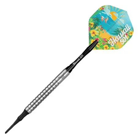 LEGEND DARTS(レジェンドダーツ) ダーツ ダーツセット ソフトダーツ ウェイン マードル Wayne Mardle シルバー