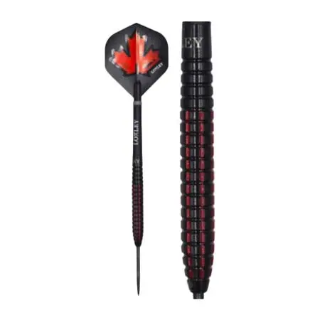 LOXLEY(ロクスリー) ダーツ ダーツセット ハードダーツ John Part ジョンパート 30th アニバーサリーエディション タングステン 95%