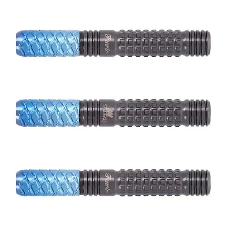 TIGA(ティガ) ダーツ バレル Fenrir Fusion(フェンリル フュージョン) 2BA 限定カラー 岡野翔選手モデル