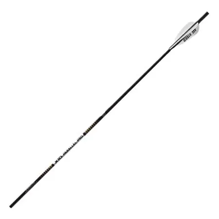 Easton Archery(イーストンアーチェリー) アーチェリー 羽根付き矢 X10 パラレルプロ 4mm マッチグレード 羽根付き矢