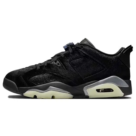 AIR JORDAN(エアジョーダン) エア ジョーダン 6 レトロ LOW cz0790-140