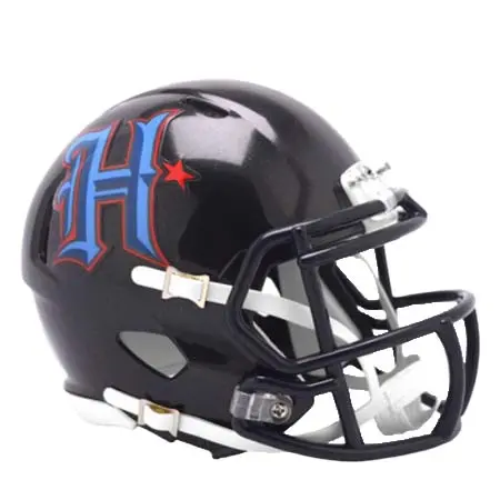 リデル(Riddell) アメリカンフットボール ヘルメット NFL レプリカミニヘルメット On Field Alternate　テキサンズ