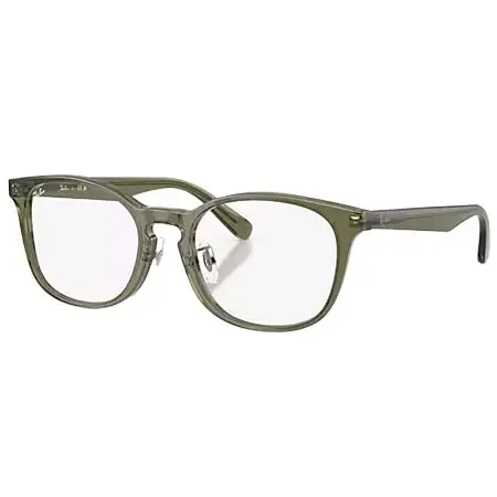 レイバン(Ray-Ban) メガネ RB5386 OPTICS [RB5386D 8501 51-19]