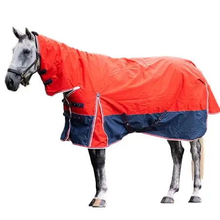 アクティブエクイン(Active Equine) 乗馬 馬着 AE Delatite 1200D コンボ ラグ 200g