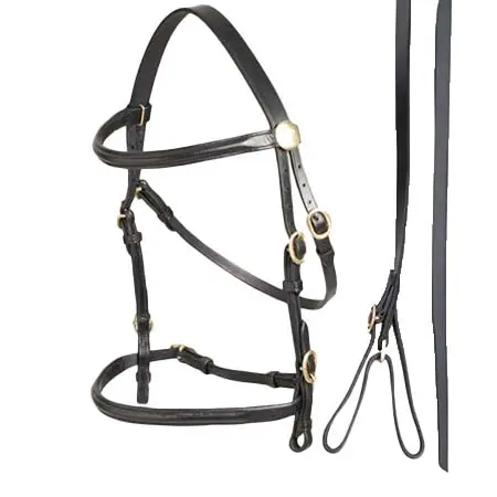 エイントリー(Aintree) 乗馬 頭絡 In Hand Bridle