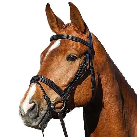 アメリゴ(Amerigo) 乗馬 頭絡 ヴェスプッチ 馬場馬術用スナッフル（手綱付き）