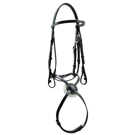 アスコットバイデバー(Ascot by Dever) 乗馬 頭絡 アスコット スライディング グラックル ブライドル