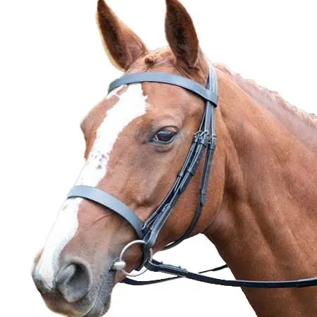 アヴィニヨン(Avignon) 乗馬 頭絡 アヴィニョンハンターカヴェッソンブライドル