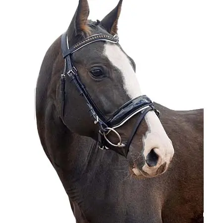 バロタード(Balotade) 乗馬 頭絡 Anatomical Lacquered Noseband Bridle Balotade® Halifax