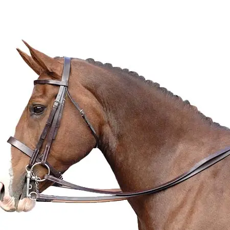 バーニーブロス(Berney Bros) 乗馬 頭絡 Berney Double Bridle