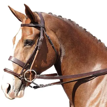 バーニーブロス(Berney Bros) 乗馬 頭絡 Berney Polo Gag Bridle