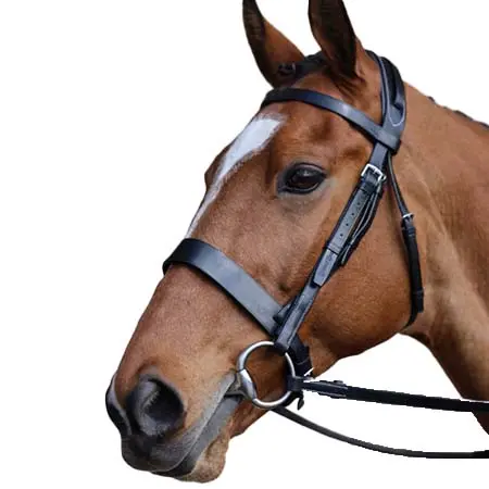 バーニーブロス(Berney Bros) 乗馬 頭絡 Berney Comfort Hunt Bridle