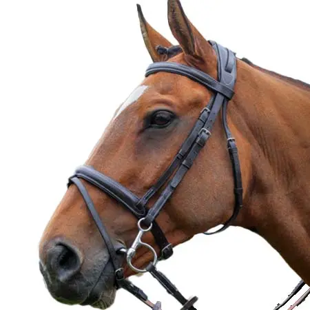 バーニーブロス(Berney Bros) 乗馬 頭絡 Berney Comfort Bridle