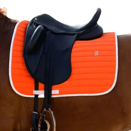 ビュレットエクウストリアン(Bullet Equestrian) 乗馬 ゼッケン・パッド 速乾素材 オレンジ