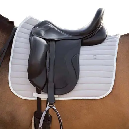 ビュレットエクウストリアン(Bullet Equestrian) 乗馬 ゼッケン・パッド 速乾サドルパッド 馬場用ゼッケン